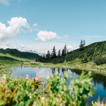 Almenweg in Großarl, Salzburg Almenweg in Großarl, Salzburg