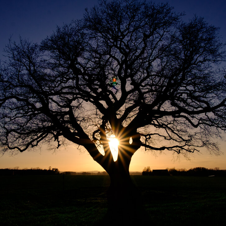 Salzburger Palliativgespräche 2026 Salzburger Palliativgespräche 2026