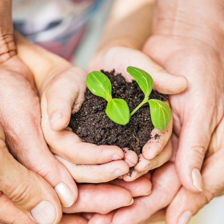 Ressourcen am Lebensbeginn Ressourcen am Lebensbeginn