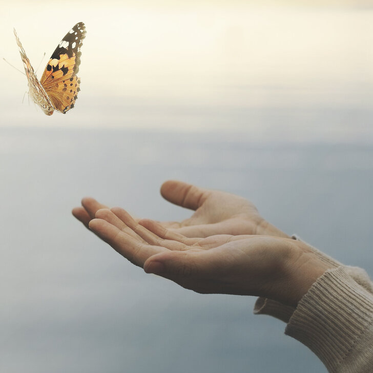 Masterstudiengang Palliative Care Masterstudiengang Palliative Care